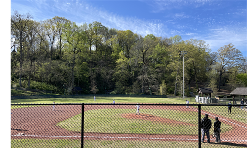 Game Day in the Park